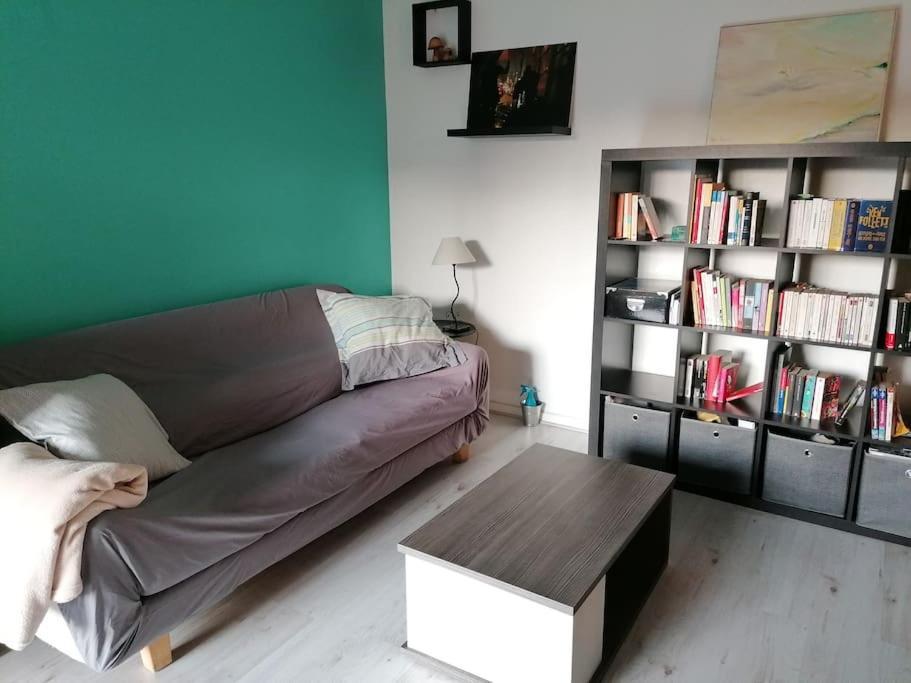 Apartment De Charme, Garage, Terrasse, Piscine